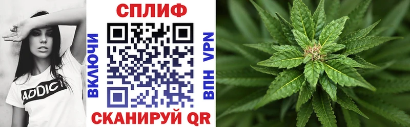 магазин продажи   дарк нет официальный сайт  Бошки марихуана Ganja  Кочубеевское 